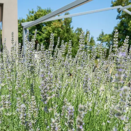 빌라 Stoje Svetvinčenat